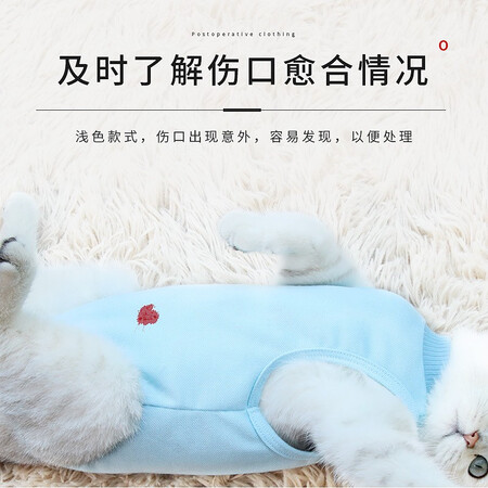 用后分析小猫喵喵 绝育服猫咪手术服母猫绝育服衣服断奶驱虫防舔真的好不？真相吐槽解密！