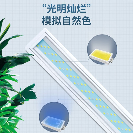 YEE鱼缸灯值得入手吗-YEE鱼缸灯优缺点评测_http://www.meifudie.com_好物_第15张