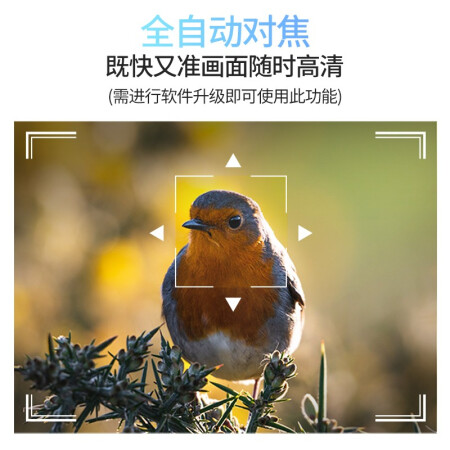 泰捷t1s和当贝d1区别是什么-泰捷t1s和当贝d1参数对比分析_http://www.meifudie.com_好物_第3张