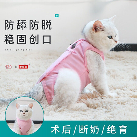 了解分析说说小猫喵喵 绝育服猫咪手术服母猫绝育服衣服断奶驱虫防舔口碑怎样？老铁真实体验感受！