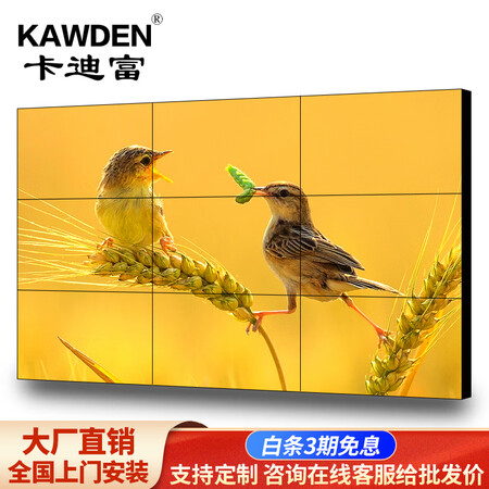 达人体验卡迪富KD-S49080CL真实的经验分享？网上购买质量有保障吗！！