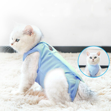 上手测评说说小猫喵喵 绝育服猫咪手术服母猫绝育服衣服断奶驱虫防舔究竟如何呢？用了一周真相分享！