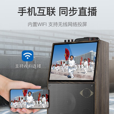 先科st1703麦克风CH101与CH100哪个好？有啥区别？