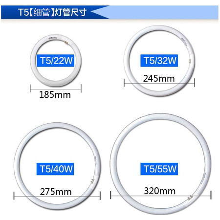 内行人点评飞利浦T5T8环形灯管吸顶灯圆形灯管TL5CTLE22W32W40W节能做工如何？告知两星期感受分享！
