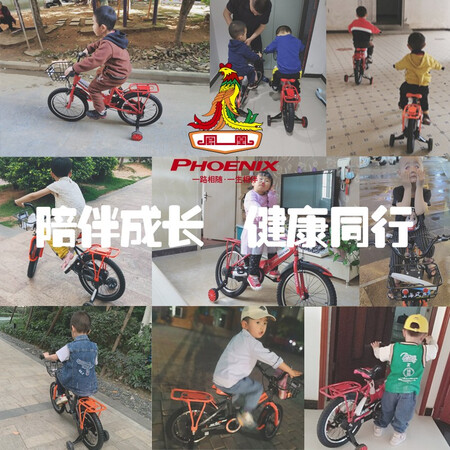 说说对比凤凰（Phoeix）儿童自行车宝宝脚踏车儿童折叠自行车3-质量靠谱吗？真实感受剖析！
