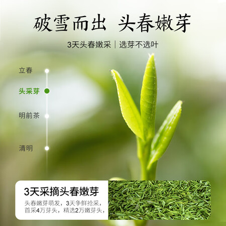 贡苑贡苑 绿茶 明前特级碧螺春125g2罐怎么样？质量好不好？