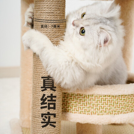 猫主义MZY-XMMPJ参数如何-猫主义MZY-XMMPJ参数解析_http://www.meifudie.com_好物_第4张