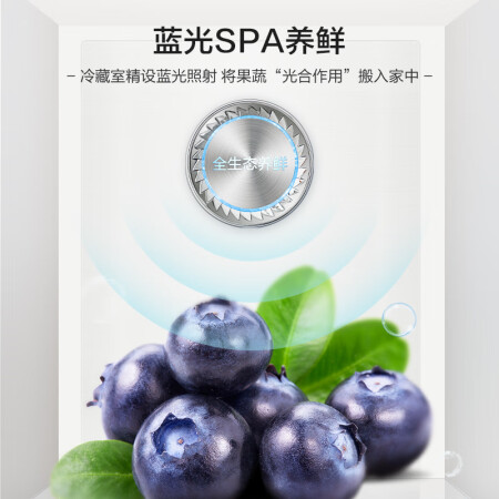 容声503和海尔500对比哪个好-容声503和海尔500对比深度对比_http://www.meifudie.com_好物_第5张