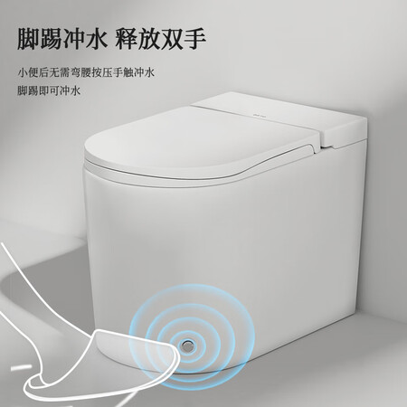 大家使用反馈阪居 日本BZTO 脉冲无水箱马桶家用小户型超漩虹吸式大冲口碑评价行不行？质量优缺点曝光！
