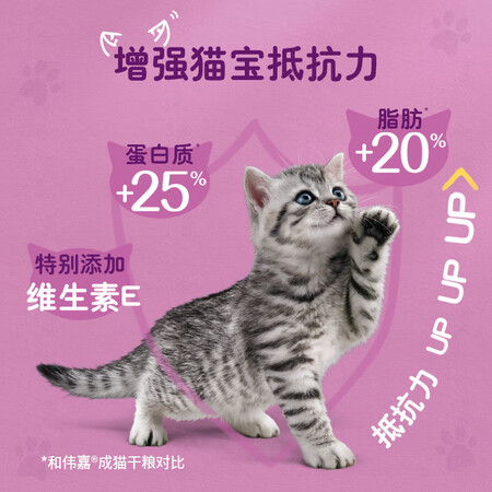 内幕分析伟嘉幼猫猫粮1.2kg吞拿鱼味布偶蓝猫橘猫加菲英短猫咪全质量好不好？使用五星期感受告知！！