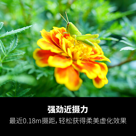 用户曝光腾龙（Tamro）A063 28-75mm F2.8 Di III VXD G2二代大光圈标是不是可以？良心点评实际情况！！