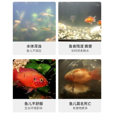 内行人开箱说说宠翰硝化细菌胶囊使用评测真的好吗？告知半个月真相分享！