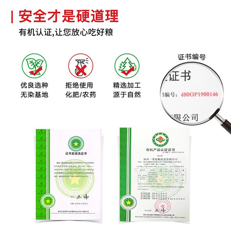 分享体验榆农尚品米脂黄小米5斤小黄米陕西陕北特产米杂粮农家吃使用感受好不好？了解三周心得分享！