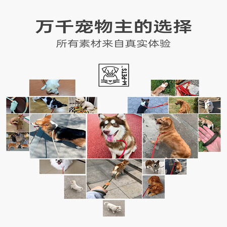 解疑体验M-PETS6020140000062值得入手吗？揭秘报道评测！