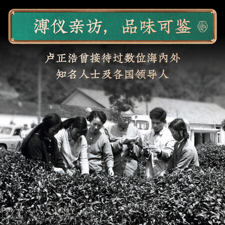 卢正浩茗茶怎么样？性价比高吗？