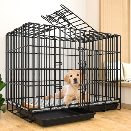 憨憨宠500600700800内幕分析测评-憨憨宠500600700800真实使用体验揭秘_http://www.meifudie.com_好物_第1张