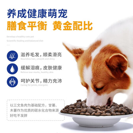 用户体验海洋之星 三文鱼狗粮成犬泰迪金毛柯基比熊拉布拉多狗干粮无谷宠物犬粮 三真实体验反馈？多次使用后评价！