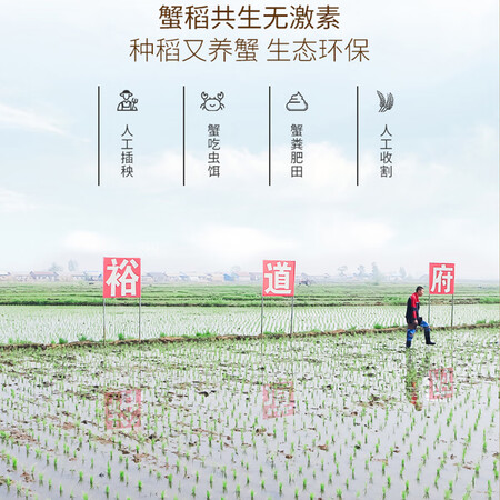 口碑说说裕道府 东北大米 湿地大米 5kg用后两个月感受？用了两星期感受分享！