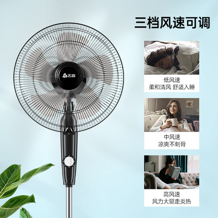 全面解析曝光荣事达电风扇和志高电风扇哪个更好？区别是什么？真相分享