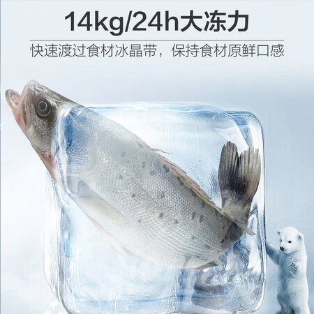 海尔冰箱540升和546哪个好些-海尔冰箱540升和546深度对比_http://www.meifudie.com_好物_第4张