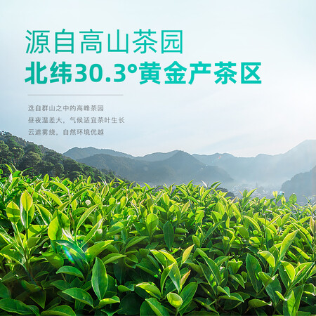 内行人曝光卢正浩 2022春茶上市 卢正浩茶叶明前特级龙井茶春茶6g品鉴装（2g3包）口碑怎样？老司机揭秘测评！