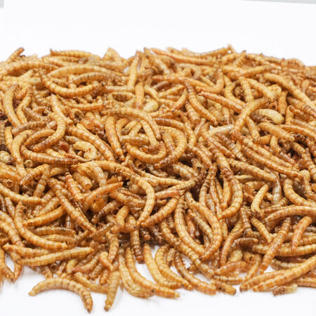 全方位吐槽华畜 兔粮幼兔成兔宠物兔子粮食荷兰猪饲料粮食大袋提摩西草 面包虫700ml质量如何？达人解惑评测！