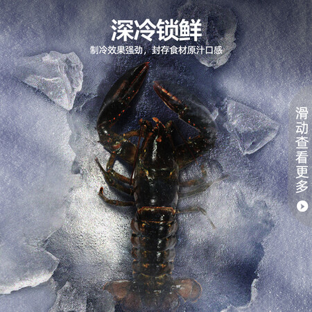 探索点评容声BCD-208MSA入手超值的吗？达人曝光质量内幕真相！