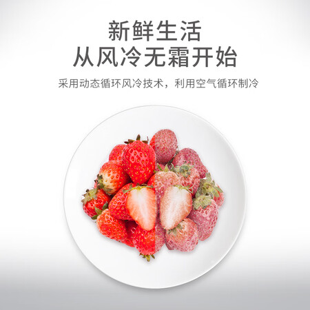 小吉100升迷你复古 风冷无霜小冰箱怎么样?上档次吗?