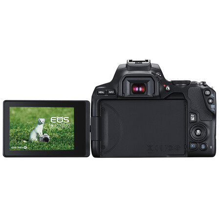 佳能eos 200d ii与m6哪个好?有区别没有?