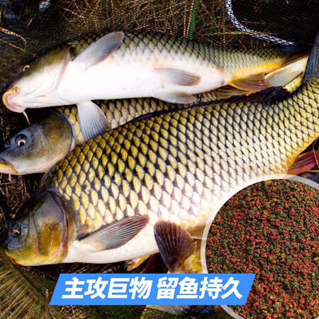 已经入手体验钓鱼王 四季鱼饵鲤鱼饵套餐野钓鱼饵鲫鲤鱼配方饵料感受分享？优缺点总结分析！