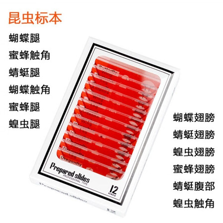 用后说说孩嘟嘟显微镜儿童1600倍学生初中生专用玩具8-12岁14生日礼物生物专业 动植真实使用心得？分享三周经验分享！