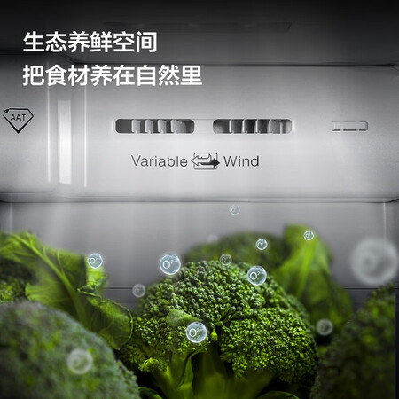 tcl冰箱与康佳冰箱对比哪款好用-tcl冰箱与康佳冰箱对比哪款更值得入手用_http://www.meifudie.com_好物_第5张