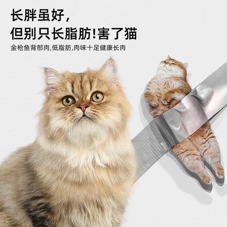 口碑揭秘江小傲海味猫罐头6罐使用靠不靠谱？网友吐槽评价反馈感受！