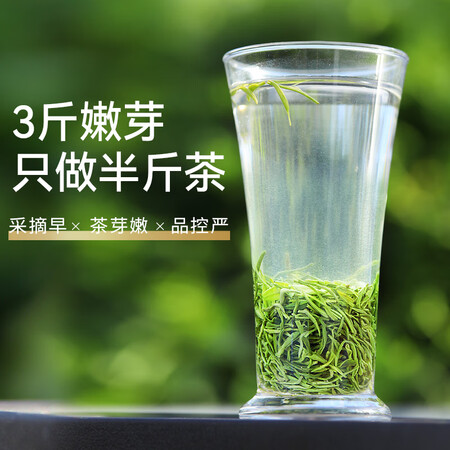 比较解密乐品乐茶 毛尖绿茶2022雨前新茶特级浓香型春茶嫩芽散装口碑怎样？入手必看感受！