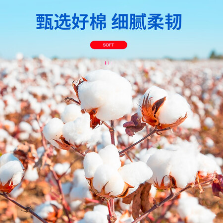 用户真实体验贝览得（beautybled）洗脸巾一次性洗面巾擦脸巾棉柔巾真实感受质量？深度测优缺点！