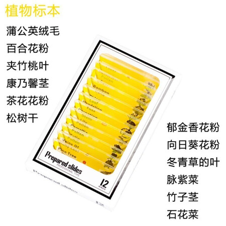 用过解密孩嘟嘟显微镜儿童1600倍学生初中生专用玩具8-12岁14生日礼物生物专业 动植性价比高不高呢？全方位深度解析评测！