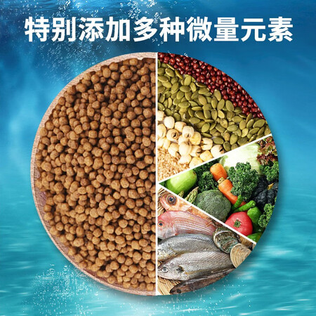 入手揭秘森森鱼食锦鲤金鱼小颗粒饲料鱼粮龟粮 30g袋装锦鲤饲料是否划算？优缺点内幕透露！