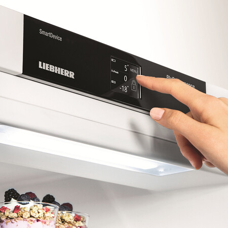 LIEBHERR 350升独立式双门冰箱怎么样?口碑如何?