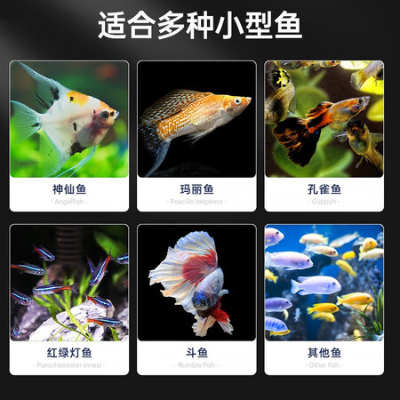 说说真实体验BIOZYMBD402是不是真的好用？很少不错的吧！