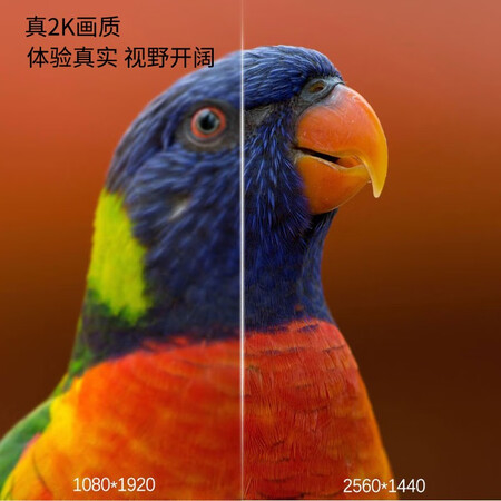 综合爆料夏新（Amoi） 电脑显示器高清家用办公电竞游戏超薄液晶监控屏幕监控 32英真的好吗？不得不看的真实情况！不看后悔！！