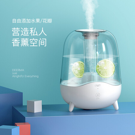 德尔玛DEM-F325怎么样?是品牌吗?