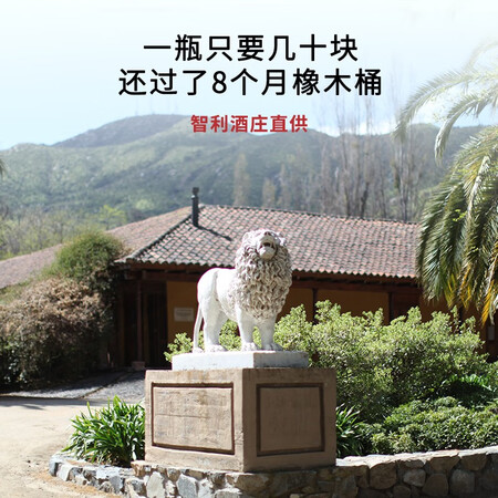 网友评测醉鹅娘如饴火烈鸟酒系列 红鸟梅洛珍藏智利进口干红葡萄给说说好不好？优缺点详细剖析评测！