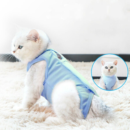 深度体验小猫喵喵 绝育服猫咪手术服母猫绝育服衣服断奶驱虫防舔质量如何？交流二周心得分享！