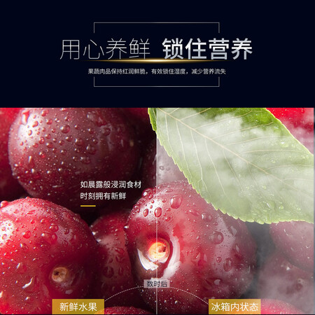 夏普536升 双变频对开门冰箱怎么样？是品牌吗？