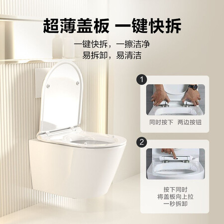 参考点评一下恩仕（AXENT） 小户型家用Oli壁挂式马桶嵌入式墙排直冲隐藏水箱马桶座便器评测怎么样？全面解析曝光！