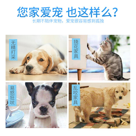 良心体验憨憨乐园宠物漏食玩具真实体验爆料？评测两星期真相分享！
