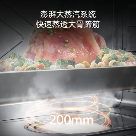 佳歌E2ZK蒸烤一体机怎么样？属于什么档次？