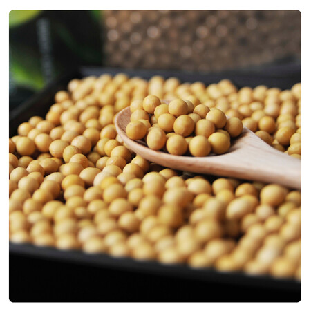 反馈点评万谷食美黄豆1kg评价怎样？真相评测分析报告！