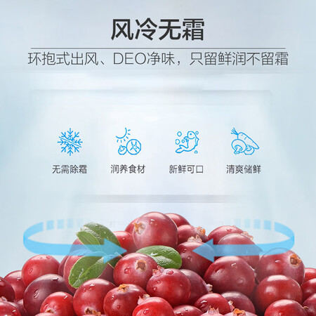 海尔bcd221wdecu1与美的230哪个好?有区别没有?