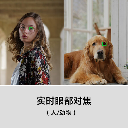 索尼7rm3和a9哪个好?有什么区别?